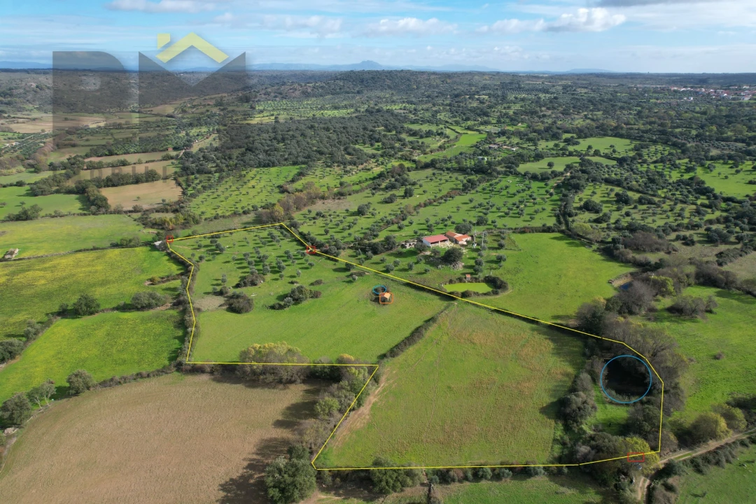 Quinta T0 para Venda em Oledo Foto 1