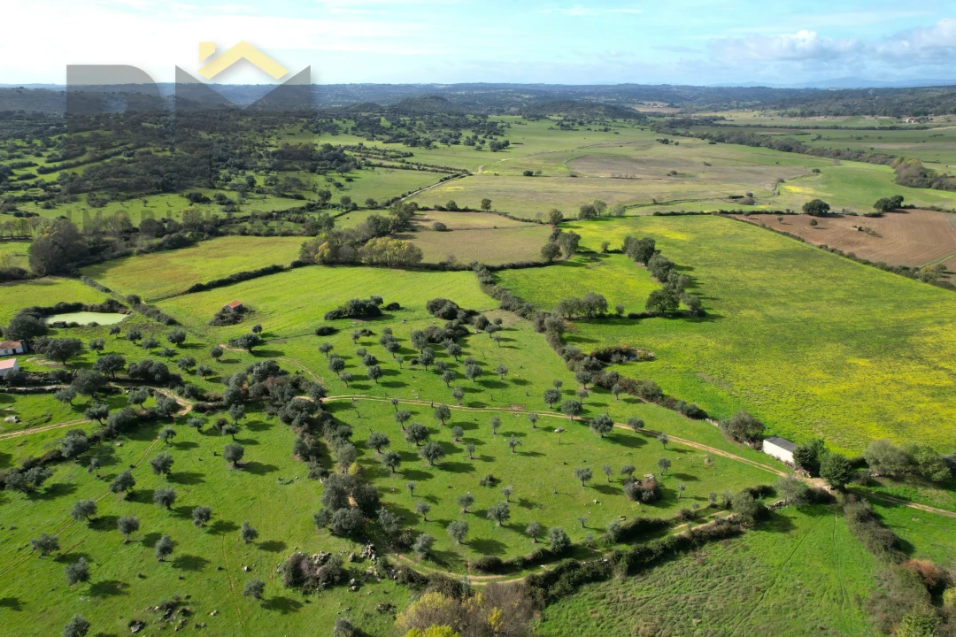 Quinta T0 para Venda em Oledo Foto 30