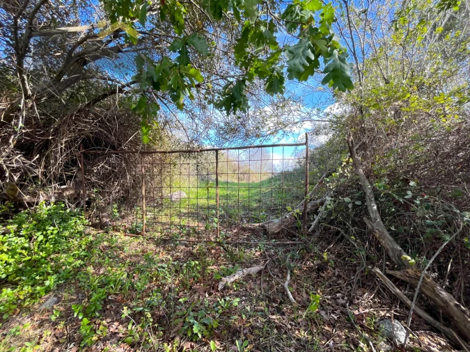 Quinta T0 para Venda em Oledo Foto 16