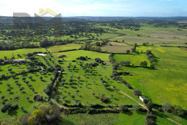 Quinta T0 para Venda em Oledo Foto 2