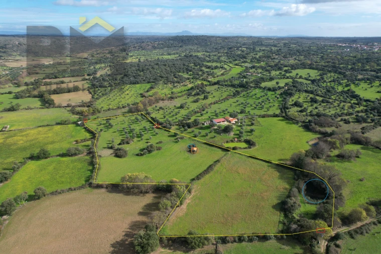 Quinta T0 para Venda em Oledo