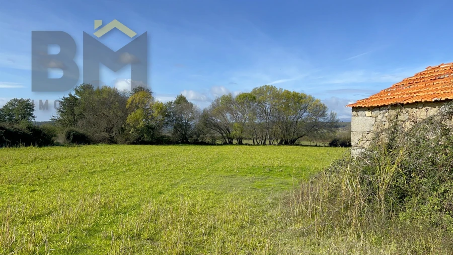 Quinta T0 para Venda em Oledo Foto 27