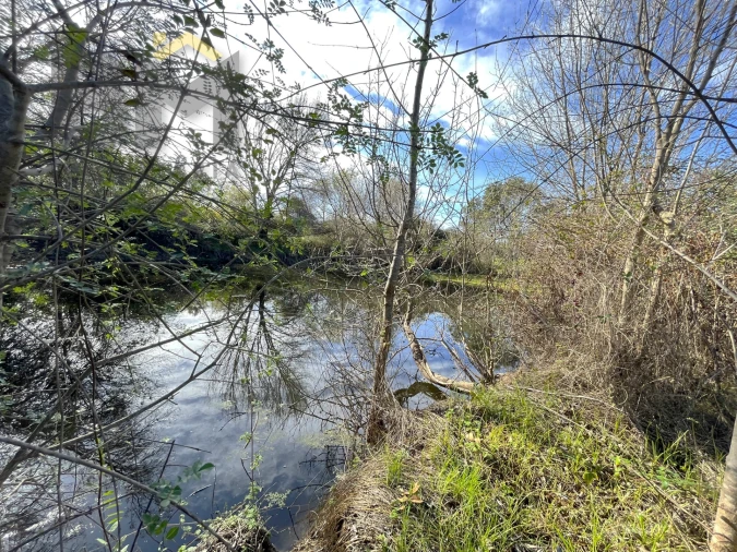 Quinta T0 para Venda em Oledo Foto 15