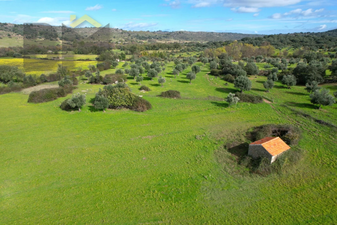 Quinta T0 para Venda em Oledo Foto 3