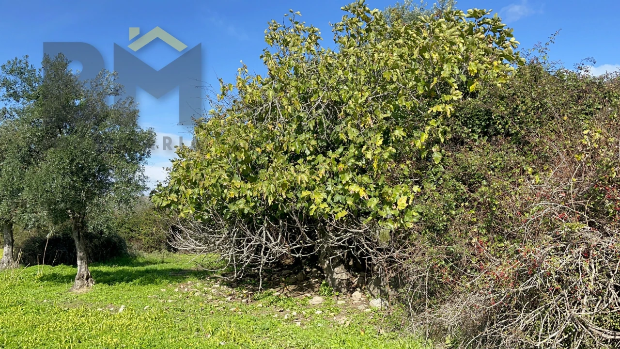 Quinta T0 para Venda em Oledo Foto 10