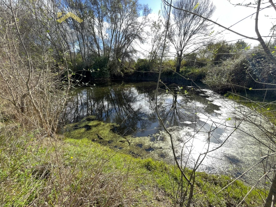 Quinta T0 para Venda em Oledo Foto 13