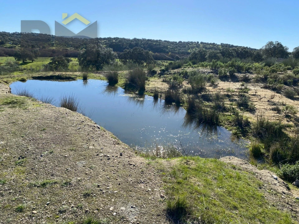 Terreno Agricola ou Rústico para Venda em Escalos de Baixo e Mata Foto 48