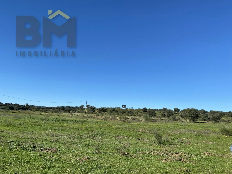 Terreno Agricola ou Rústico para Venda em Escalos de Baixo e Mata Foto 12