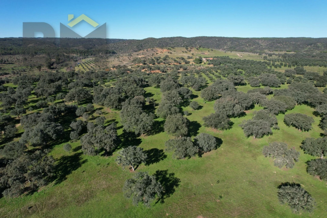 Terreno Agricola ou Rústico para Venda em Escalos de Baixo e Mata Foto 7
