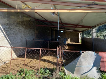 Terreno Agricola ou Rústico para Venda em Escalos de Baixo e Mata