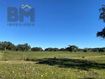 Terreno Agricola ou Rústico para Venda em Escalos de Baixo e Mata