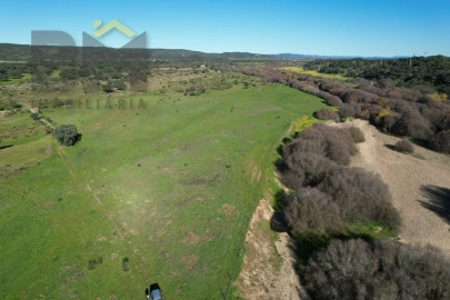 Terreno Agricola ou Rústico para Venda em Escalos de Baixo e Mata