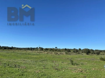 Terreno Agricola ou Rústico para Venda em Escalos de Baixo e Mata