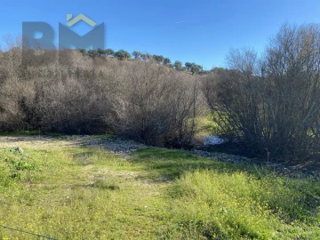 Terreno Agricola ou Rústico para Venda em Escalos de Baixo e Mata