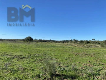 Terreno Agricola ou Rústico para Venda em Escalos de Baixo e Mata