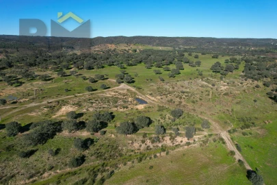 Terreno Agricola ou Rústico para Venda em Escalos de Baixo e Mata