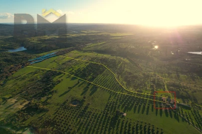 Terreno Agricola ou Rústico para Venda em Escalos de Baixo e Mata