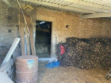 Terreno Agricola ou Rústico para Venda em Escalos de Baixo e Mata