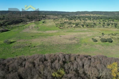 Terreno Agricola ou Rústico para Venda em Escalos de Baixo e Mata