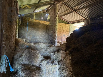 Terreno Agricola ou Rústico para Venda em Escalos de Baixo e Mata