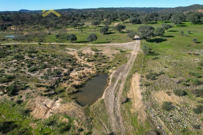 Terreno Agricola ou Rústico para Venda em Escalos de Baixo e Mata