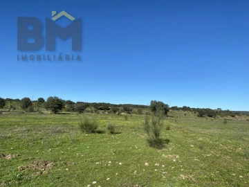 Terreno Agricola ou Rústico para Venda em Escalos de Baixo e Mata