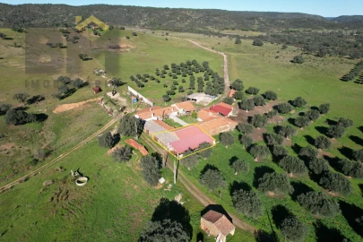 Terreno Agricola ou Rústico para Venda em Escalos de Baixo e Mata