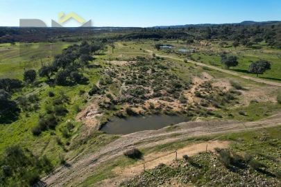 Terreno Agricola ou Rústico para Venda em Escalos de Baixo e Mata