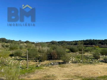 Terreno Agricola ou Rústico para Venda em Escalos de Baixo e Mata