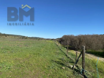 Terreno Agricola ou Rústico para Venda em Escalos de Baixo e Mata