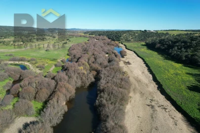 Terreno Agricola ou Rústico para Venda em Escalos de Baixo e Mata
