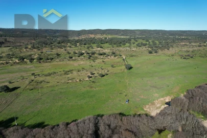 Terreno Agricola ou Rústico para Venda em Escalos de Baixo e Mata