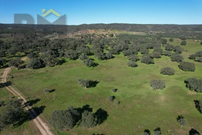 Terreno Agricola ou Rústico para Venda em Escalos de Baixo e Mata