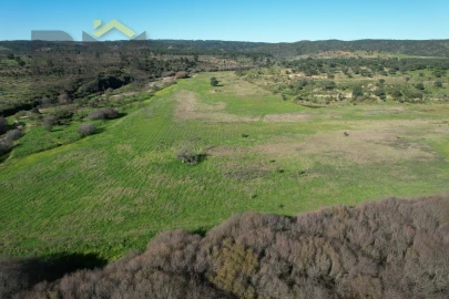 Terreno Agricola ou Rústico para Venda em Escalos de Baixo e Mata