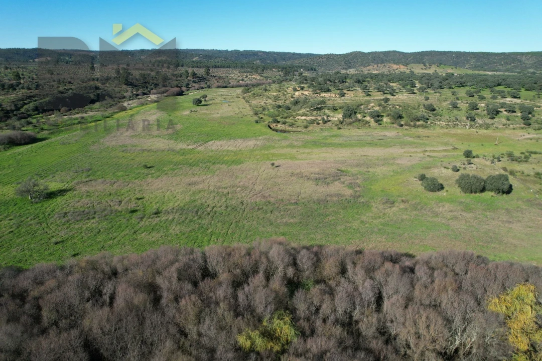 Terreno Agricola ou Rústico para Venda em Escalos de Baixo e Mata Foto 16