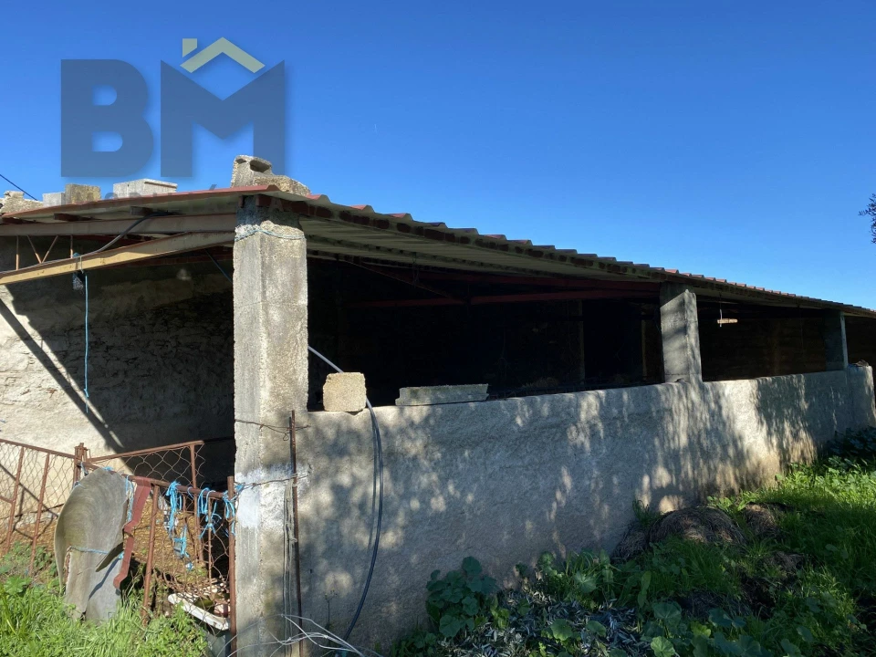 Terreno Agricola ou Rústico para Venda em Escalos de Baixo e Mata Foto 29