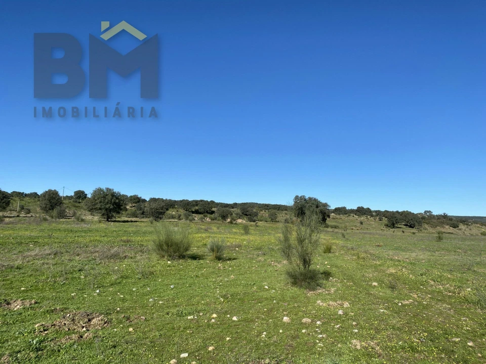 Terreno Agricola ou Rústico para Venda em Escalos de Baixo e Mata Foto 51