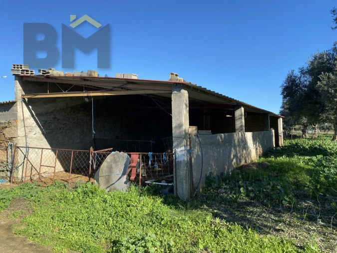 Terreno Agricola ou Rústico para Venda em Escalos de Baixo e Mata Foto 28