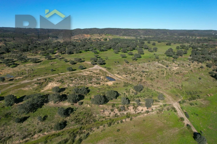 Terreno Agricola ou Rústico para Venda em Escalos de Baixo e Mata Foto 21