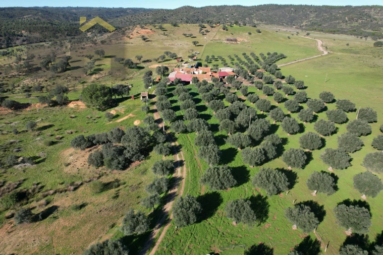 Terreno Agricola ou Rústico para Venda em Escalos de Baixo e Mata Foto 3