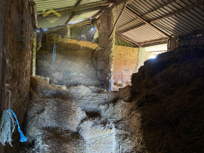 Terreno Agricola ou Rústico para Venda em Escalos de Baixo e Mata Foto 33