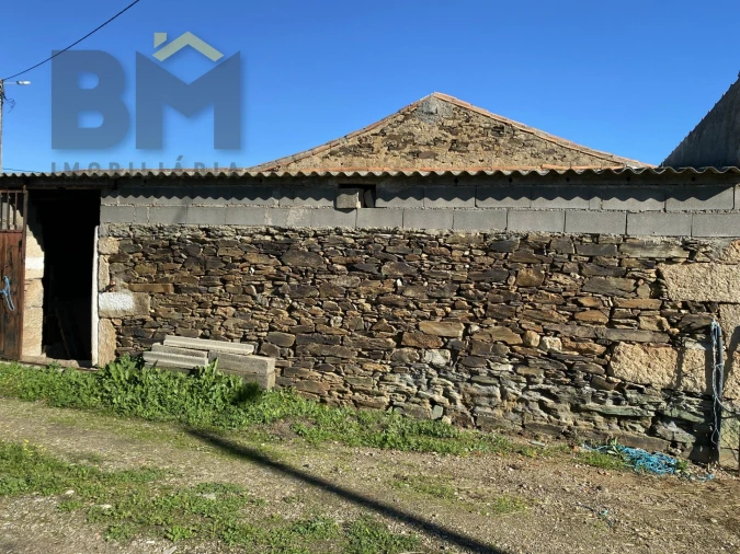 Terreno Agricola ou Rústico para Venda em Escalos de Baixo e Mata Foto 26