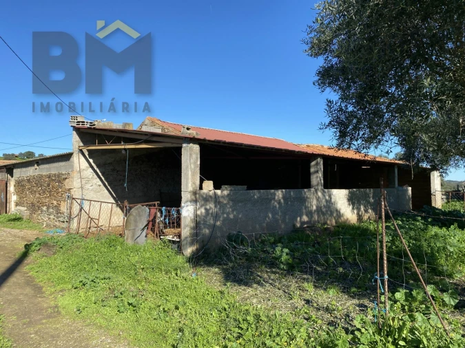 Terreno Agricola ou Rústico para Venda em Escalos de Baixo e Mata Foto 27