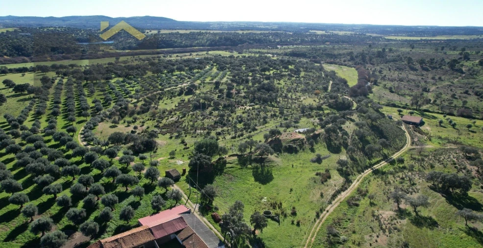 Terreno Agricola ou Rústico para Venda em Escalos de Baixo e Mata Foto 13