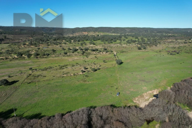 Terreno Agricola ou Rústico para Venda em Escalos de Baixo e Mata Foto 20
