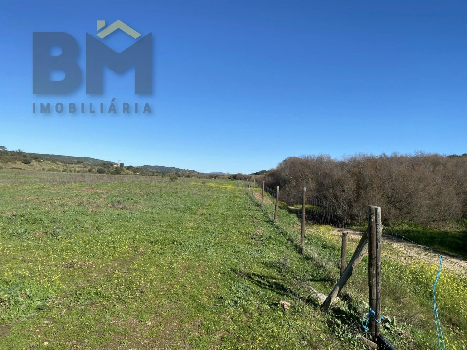 Terreno Agricola ou Rústico para Venda em Escalos de Baixo e Mata Foto 11