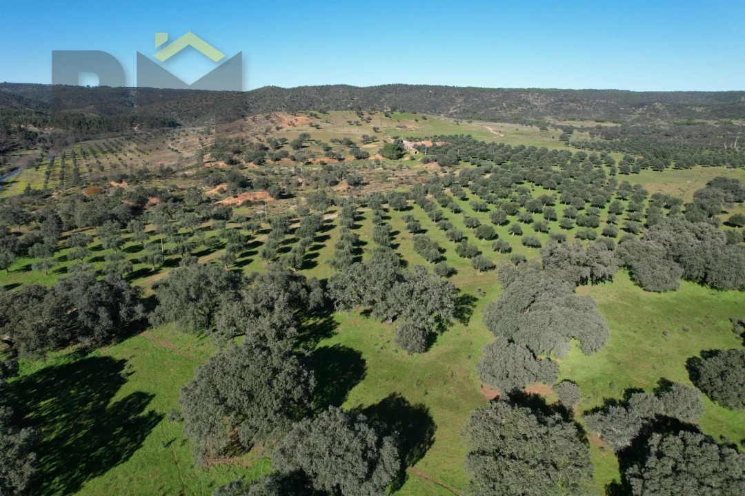 Terreno Agricola ou Rústico para Venda em Escalos de Baixo e Mata Foto 8