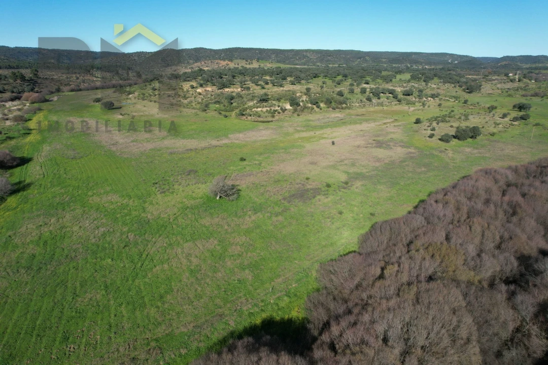 Terreno Agricola ou Rústico para Venda em Escalos de Baixo e Mata Foto 23