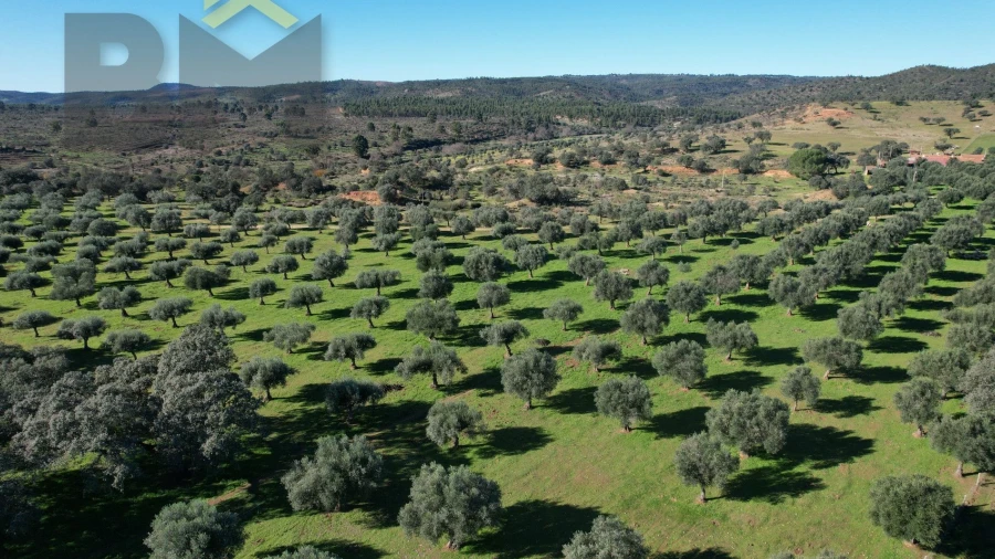 Terreno Agricola ou Rústico para Venda em Escalos de Baixo e Mata