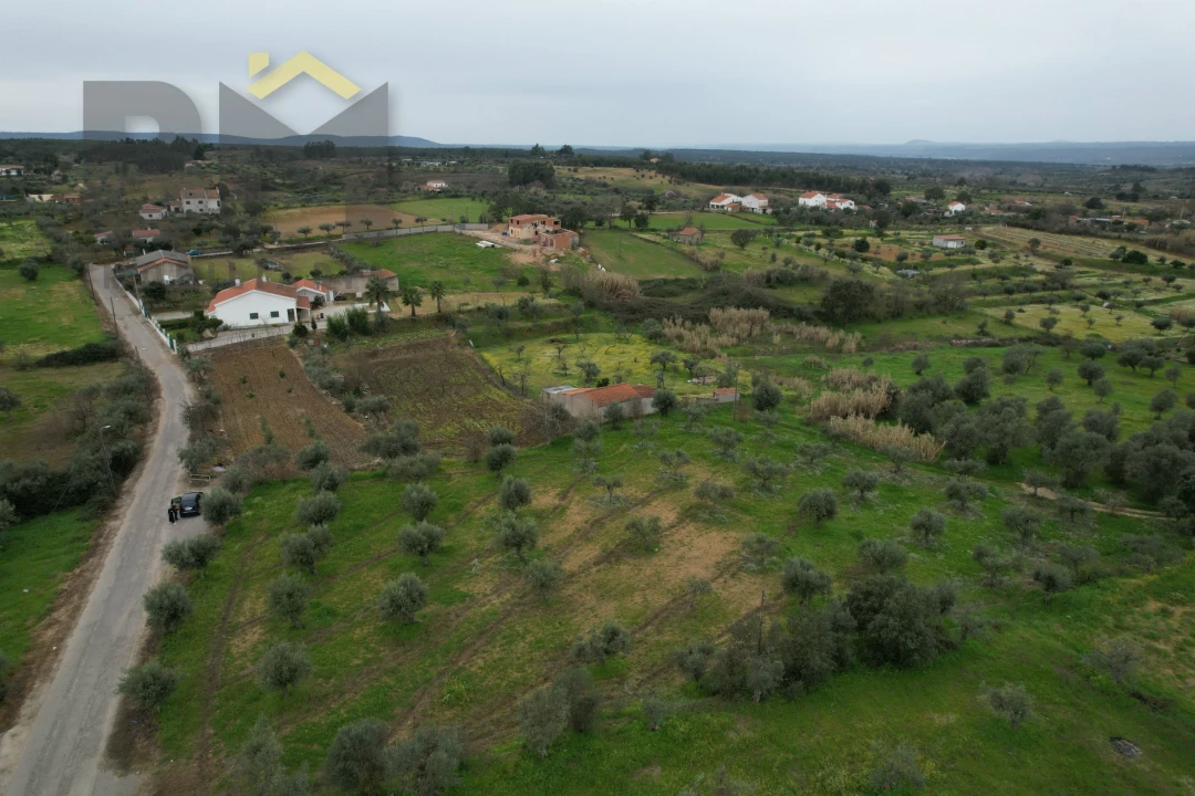 Terreno Agricola ou Rústico para Venda em Ladoeiro Foto 5